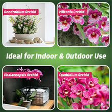 Floral Room Spray 400ml, Orchid, Gardenia, Jasmine & Magnolia Fragrances, Long Lasting Home Air Freshener, Scented Room Fragrance Spray for Bedroom, Living Room, Bathroom & Home