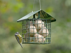 RSPB Super Suet Fat Balls – Pack of 6 | High-Energy Bird Food for Wild Birds | Ideal for Garden Feeders, Bird Tables & Wildlife | Great Tit, Robin & Sparrow Favourite