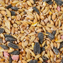 Ambassador Wild Bird Seed 2kg – Premium High-Energy Wild Bird Food Mix – Attracts Garden Birds Like Finches, Robins & Tits – Nutritious & Delicious Blend
