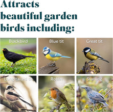 RSPB Super Suet Fat Balls – Pack of 6 | High-Energy Bird Food for Wild Birds | Ideal for Garden Feeders, Bird Tables & Wildlife | Great Tit, Robin & Sparrow Favourite