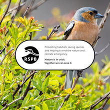 RSPB Super Suet Fat Balls – Pack of 6 | High-Energy Bird Food for Wild Birds | Ideal for Garden Feeders, Bird Tables & Wildlife | Great Tit, Robin & Sparrow Favourite