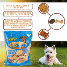 Munch & Crunch Bikkies – Assorted Dog Treats Enriched with Vitamins & Minerals | Natural, Healthy & Delicious Biscuits for Dogs | No Artificial Flavours | 350g Pack
