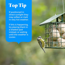 RSPB Super Suet Fat Balls – Pack of 6 | High-Energy Bird Food for Wild Birds | Ideal for Garden Feeders, Bird Tables & Wildlife | Great Tit, Robin & Sparrow Favourite