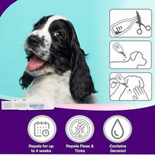 Pride & Groom Spot On Flea & Tick Treatment for Dogs & Puppies – Long-Lasting Insect Repellent Protects Up to 4 Weeks – Waterproof, Easy Application – Pack of 2 Doses